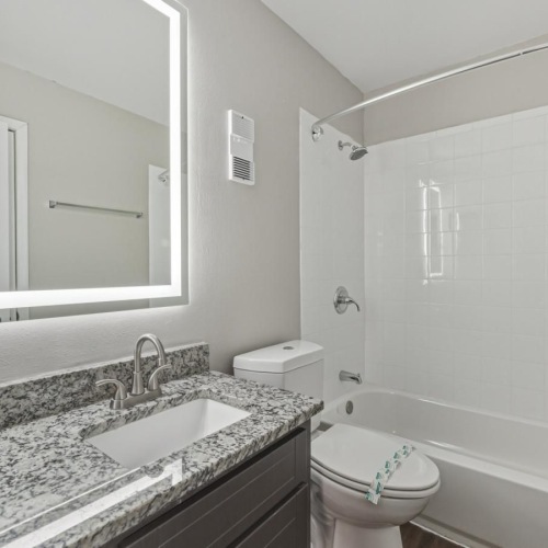 a bathroom with a marble countertop