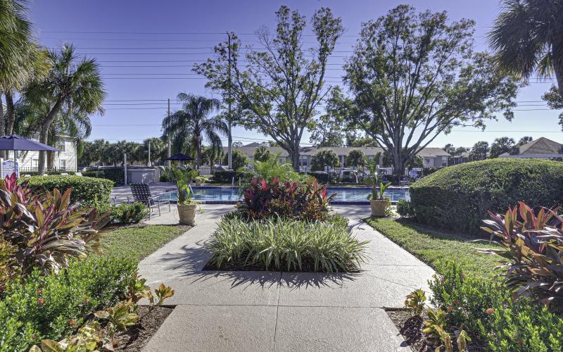 a courtyard with bushes and trees